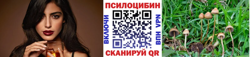 Галлюциногенные грибы MAGIC MUSHROOMS  наркотики  площадка формула  Полевской 